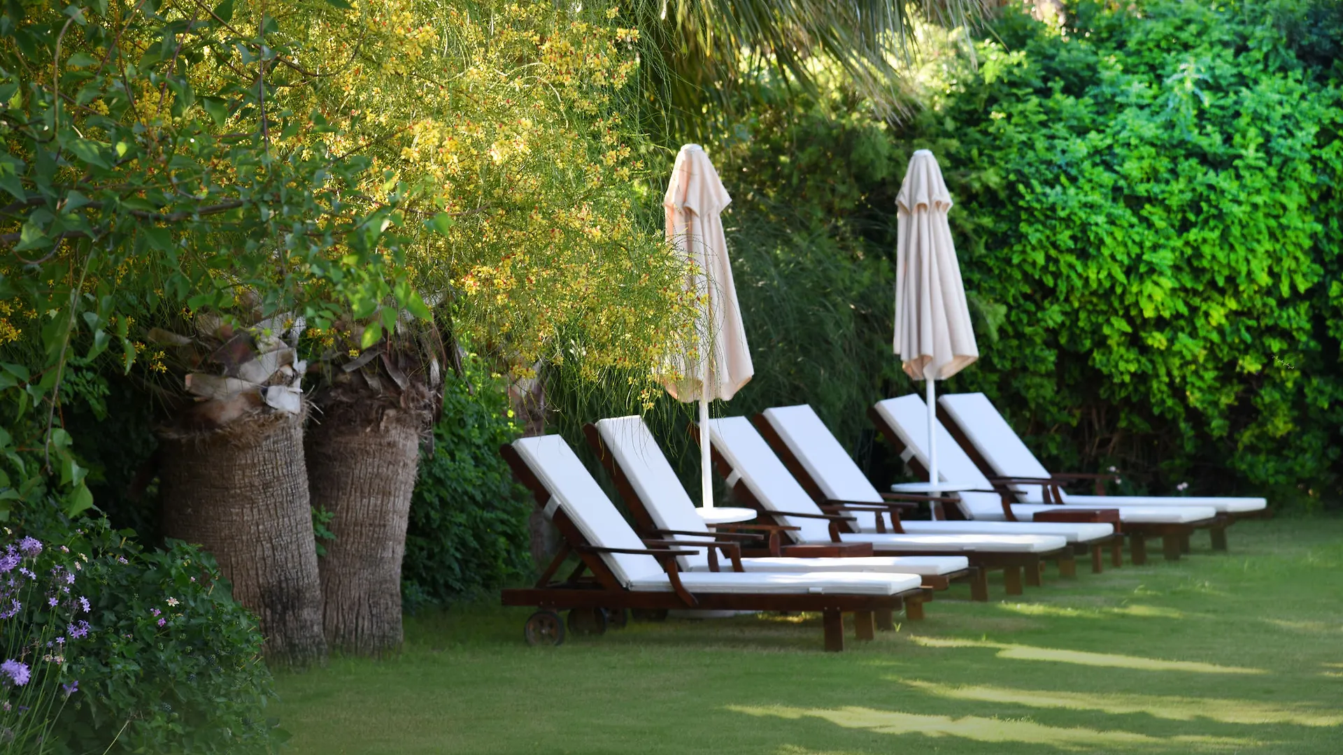 ****  Temenos Luxury Hotel & Spa - Boutique Class Ortakent Turcja